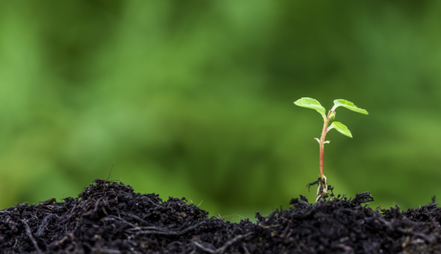 Get a head start on franchising in the New Year