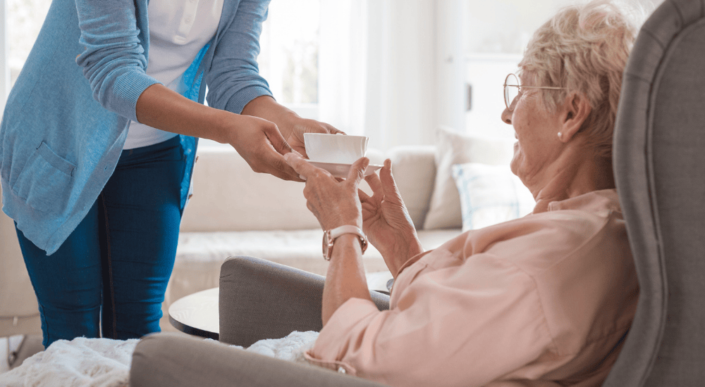 Deliver a diverse range of services as a SureCare franchisee